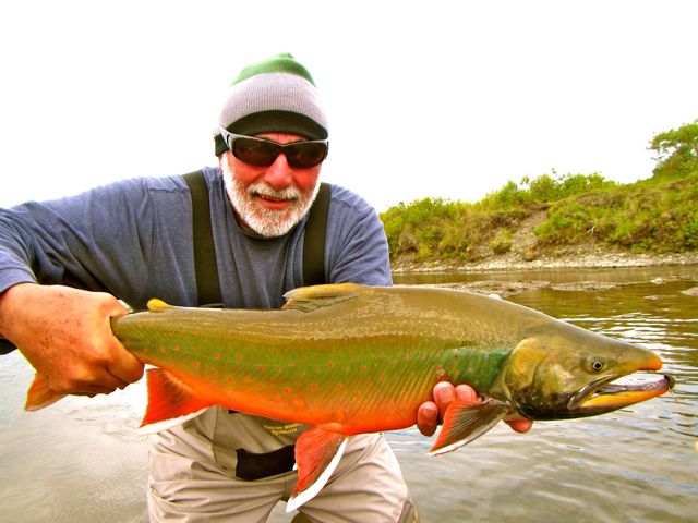 Reel Action Alaska Rainbow Trout